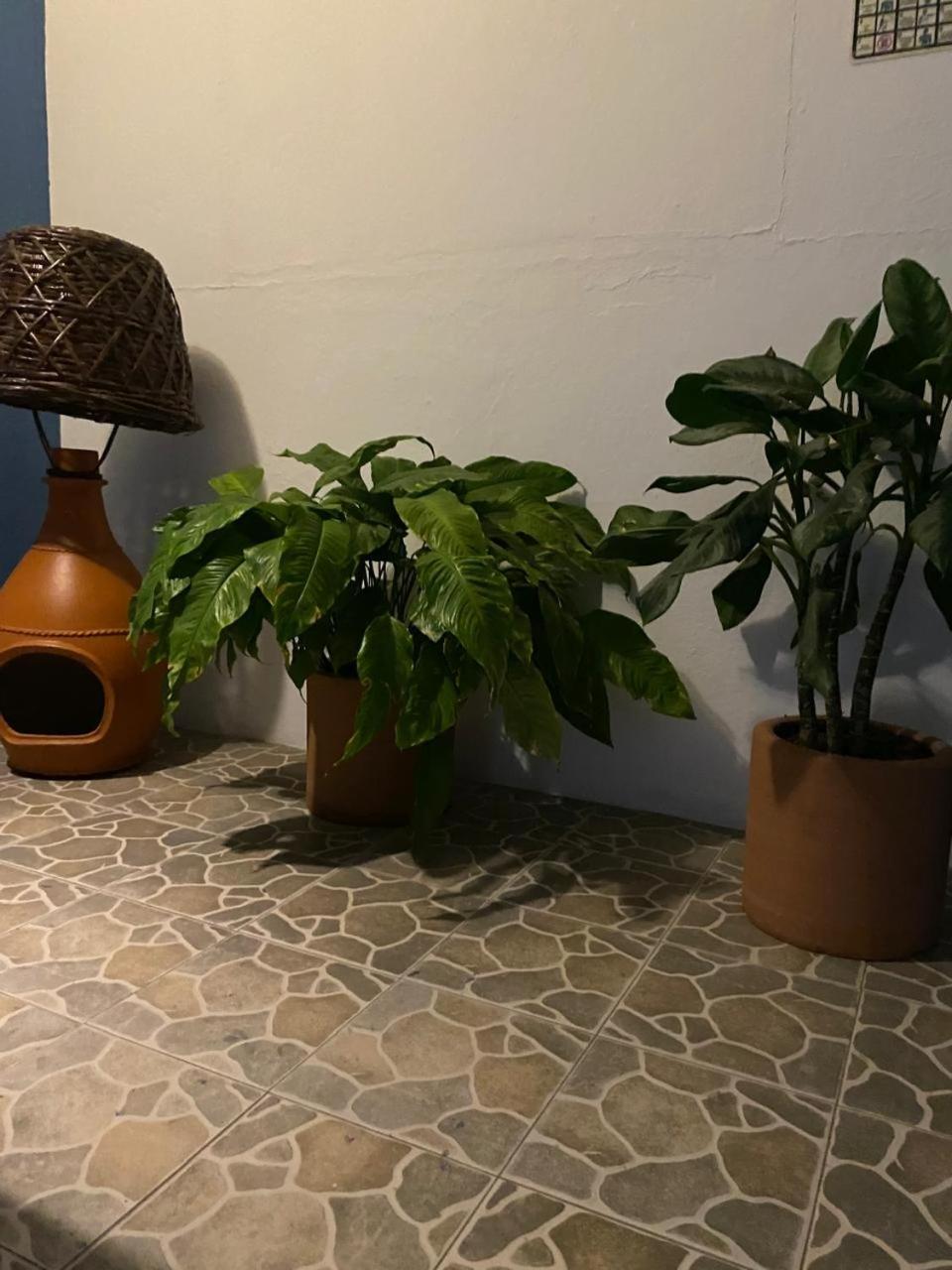 Hotel Casa Juanita プエルト・エスコンディード エクステリア 写真